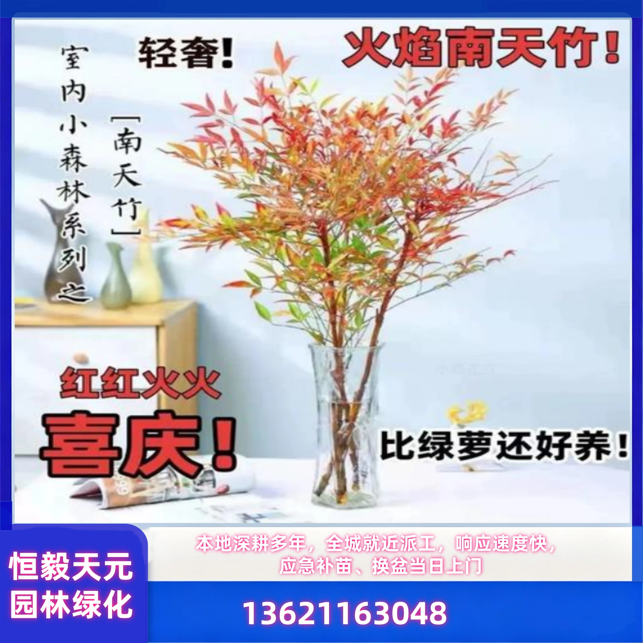 绿植出租