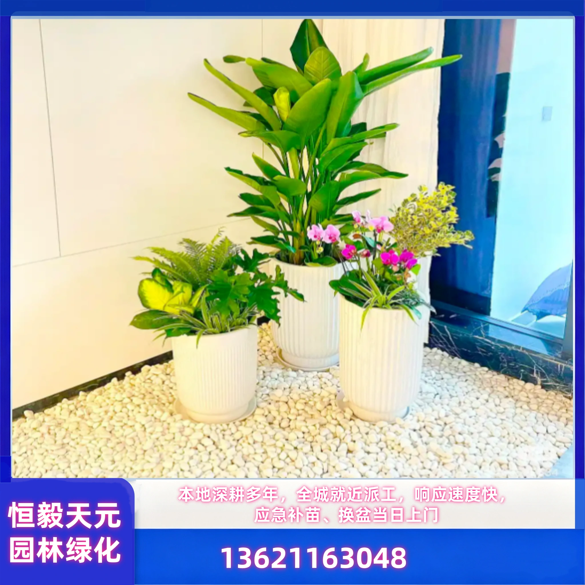 办公室绿化