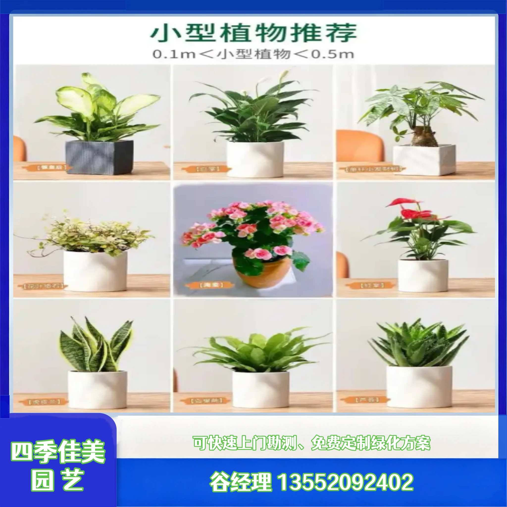 花卉租摆