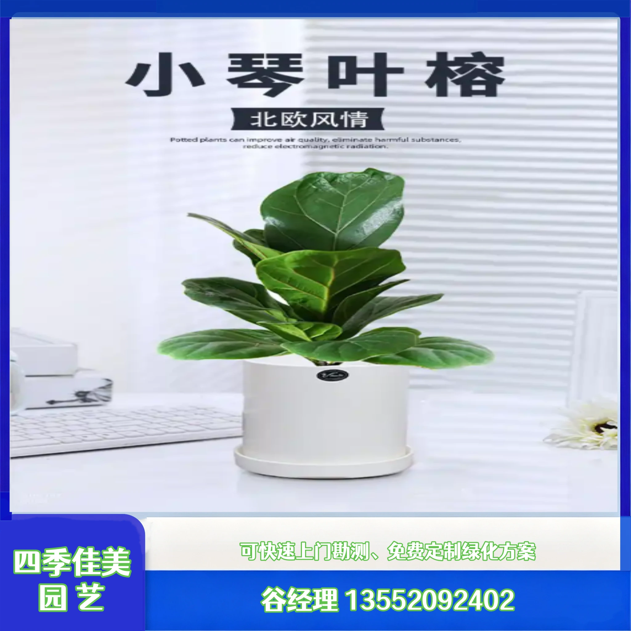 绿植租赁