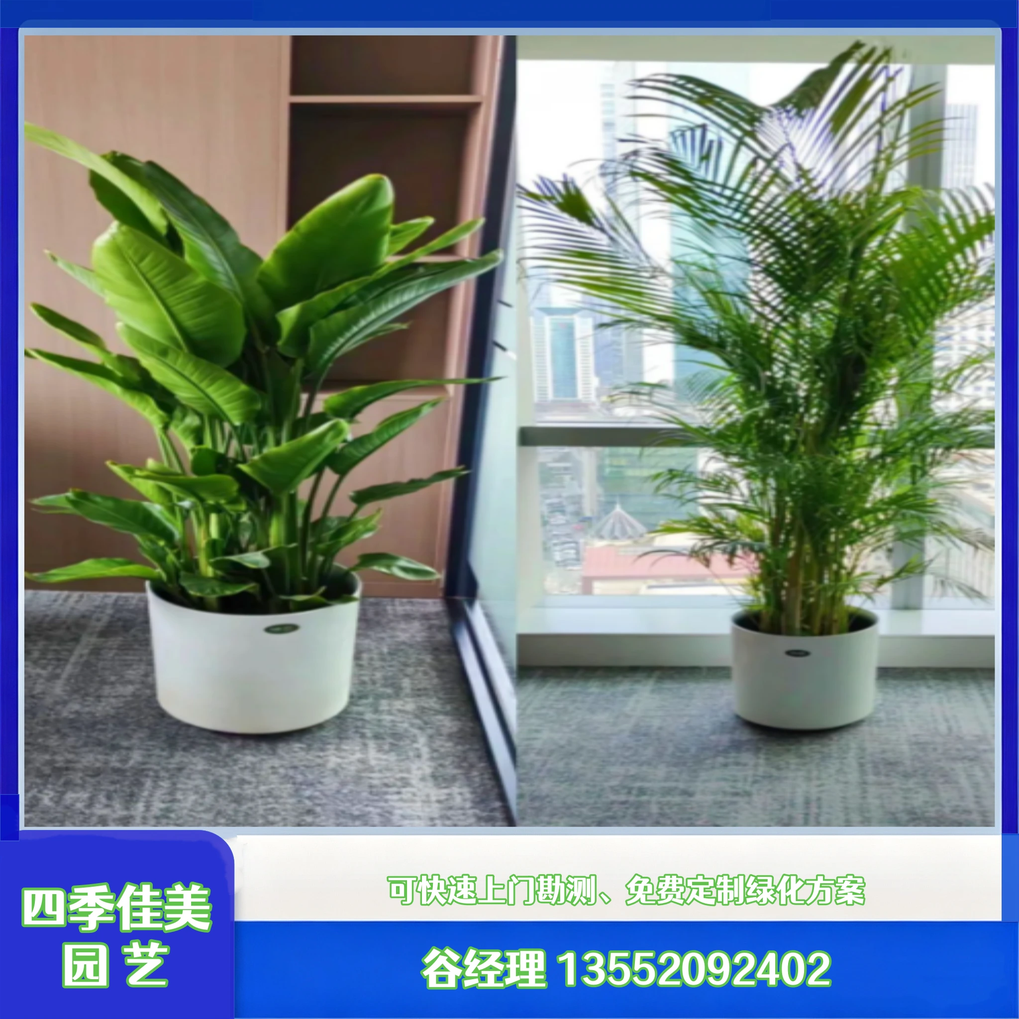 植物出租